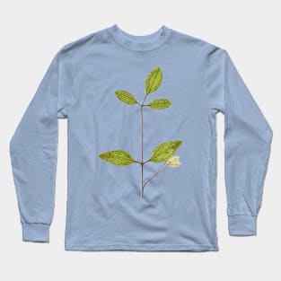 Clematis terniflora var. mandshurica	Manchurian clematis Long Sleeve T-Shirt